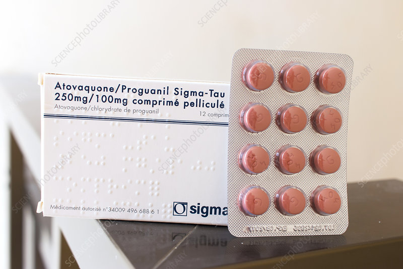 Malaria Prevention Guide